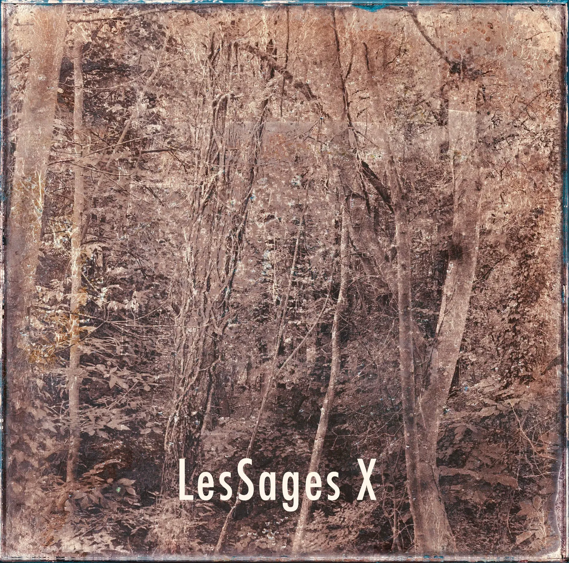 Les Sages X — Denis Félix
